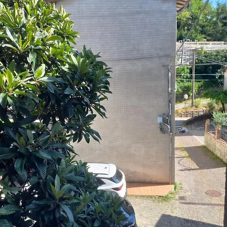 Il Nido Di Matilde Rossena