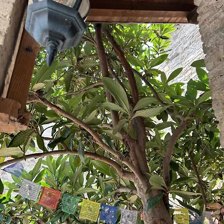 Il Nido Di Matilde *