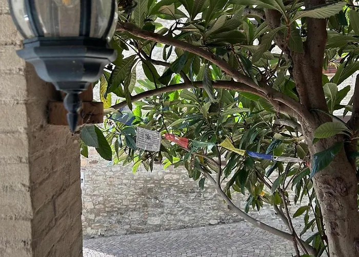 Il Nido Di Matilde Rossena