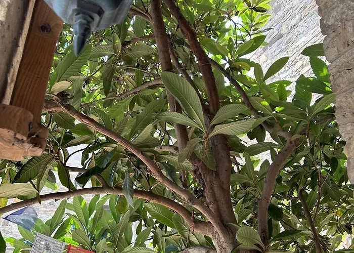 Il Nido Di Matilde *